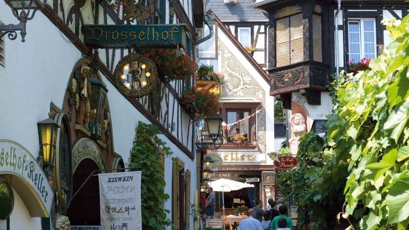 The Rhine & Moselle (port-to-port cruise)