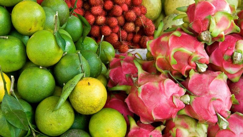 From the Angkor Temples to the Mekong Delta (port-to-port cruise)