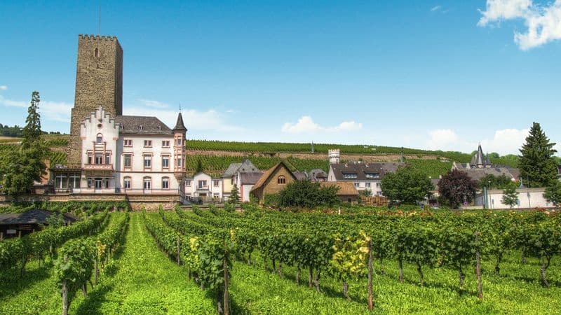 Cruise along the Rhine from Strasbourg to Antwerp (port-to-port cruise)