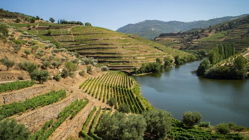 Porto and the Douro Valley (port-to-port cruise)