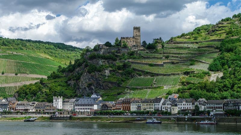 One-of-a-Kind Cruise on the Rhine and Neckar Rivers (port-to-port cruise)