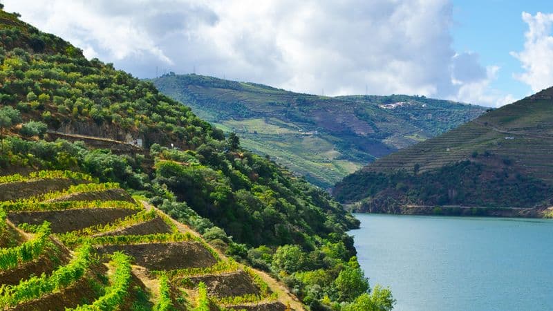 Cruise and Hikes in The Douro Valley, A Nature Lover's Dream (port-to-port cruise)