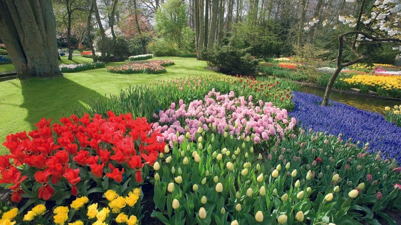 Through authentic Holland (port-to-port cruise)