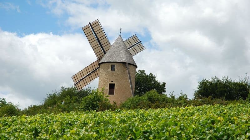 Fine Food and Wines on a Cruise through the Burgundy Region (port-to-port cruise)