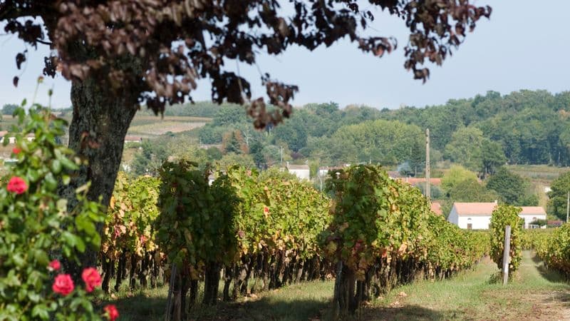 New Year in the Bordeaux region (port-to-port cruise)