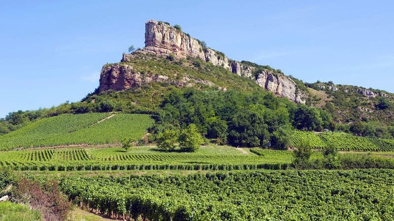 The Valleys of the Rhône and Saône: Gastronomy and vineyards (port-to-port cruise)