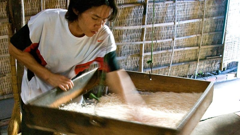 From the Mekong Delta to Siem Reap (port-to-port cruise)
