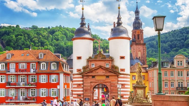 One-of-a-Kind Cruise on the Rhine and Neckar Rivers (port-to-port cruise)