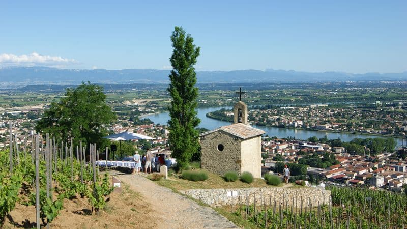 The Valleys of the Rhône and Saône: Gastronomy and vineyards (port-to-port cruise)