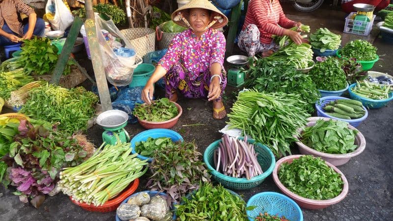 The Mekong in a different way - Between adventure and must-seesites (port-to-port cruise)