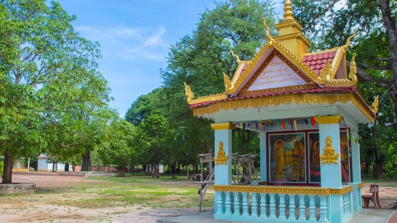 From the Mekong Delta to the Temples of Angkor & Hanoi and Halong Bay (port-to-port cruise)