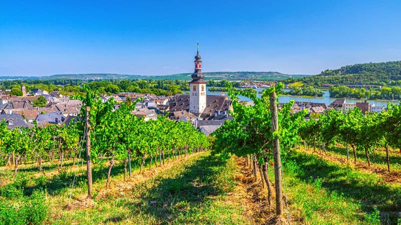 The romantic Rhine Valley and the rock of the Lorelei (port-to-port cruise)