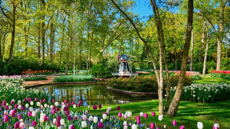 From Amsterdam to the Iron Gates, experience it all on a European river cruise (port-to-port cruise)