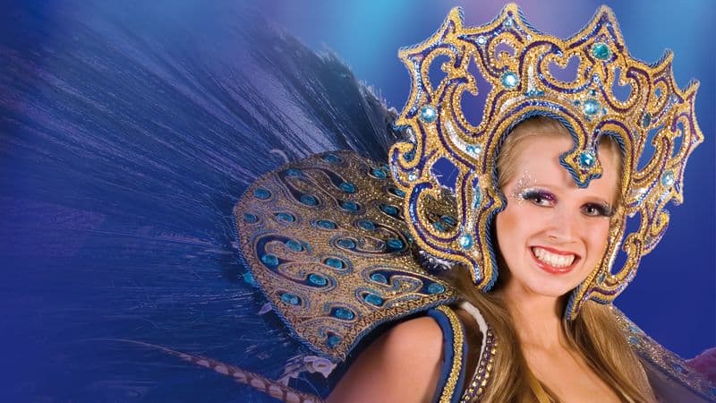 Christmas in Alsace and show at the Royal Palace (port-to-port)