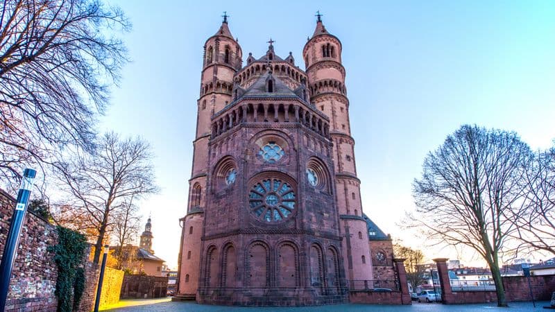 One-of-a-Kind Cruise on the Rhine and Neckar Rivers (port-to-port cruise)