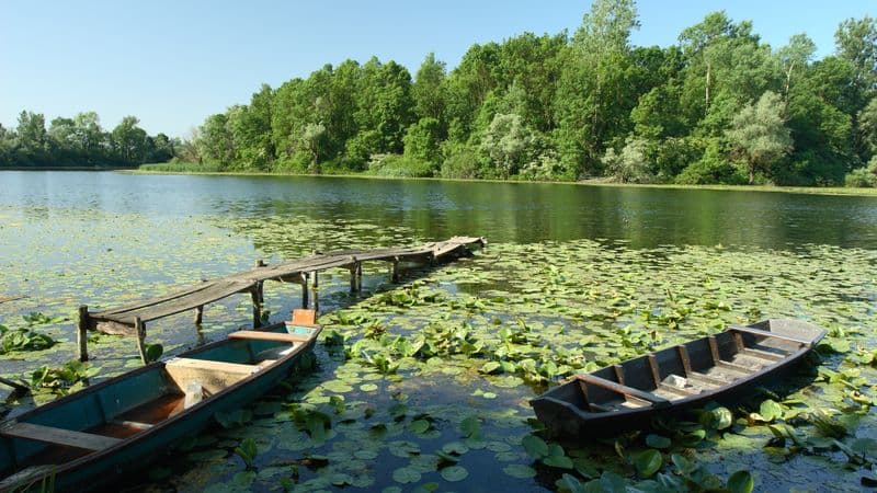 A journey between Central Europe and the Balkans - Lake Balaton, the authentic Sava and the majestic Danube (port-to-port cruise)
