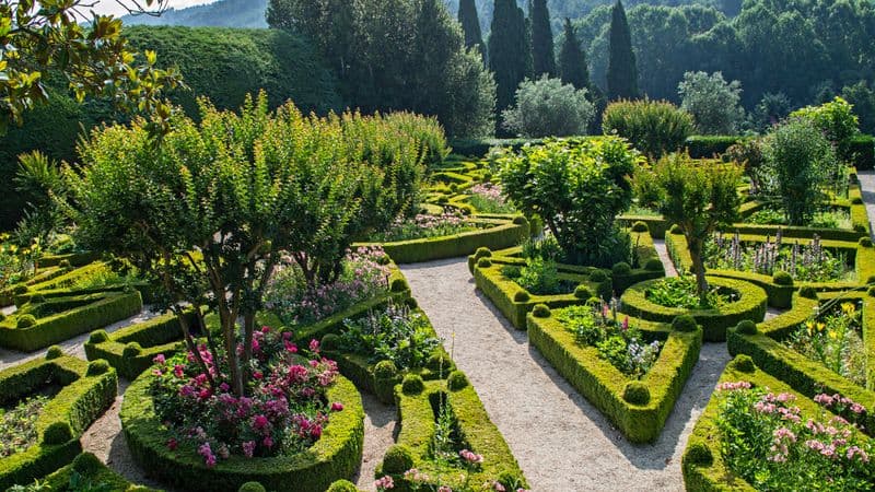 Cruise and Hikes in The Douro Valley, A Nature Lover's Dream (port-to-port cruise)
