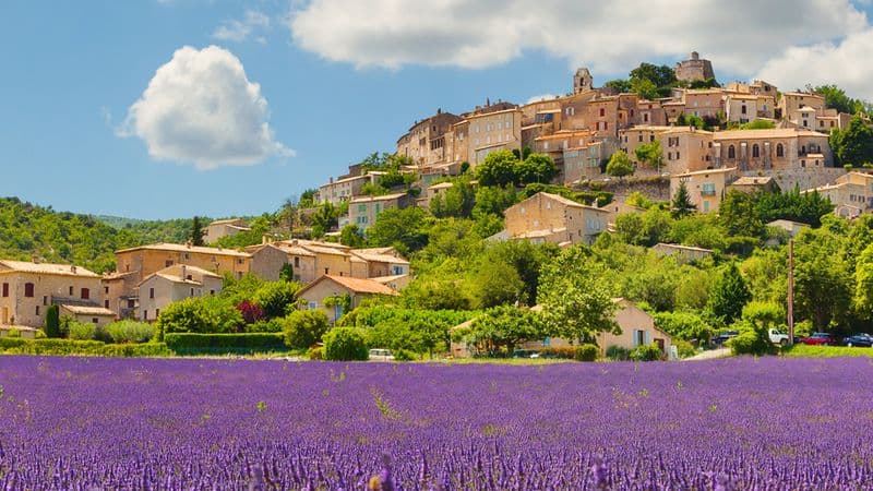 A trip to admire the beautiful scenery of the Rhône valley (port-to-port cruise)