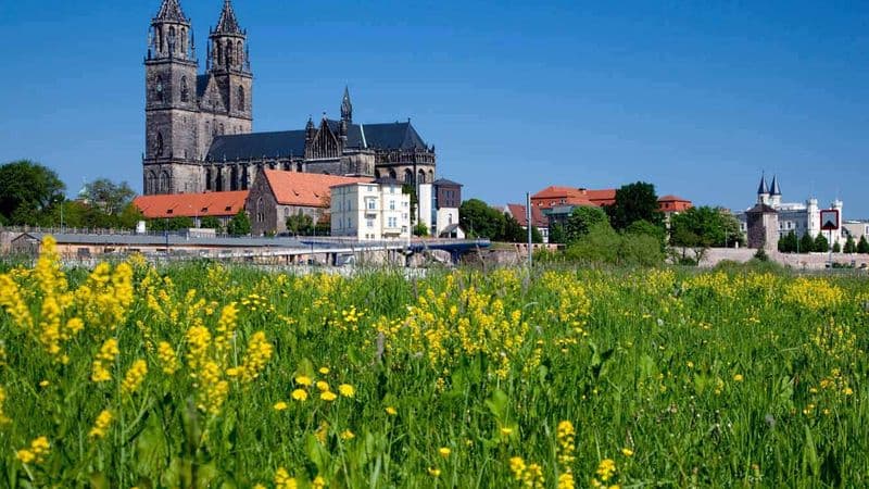 From Berlin to Strasbourg (port-to-port cruise)