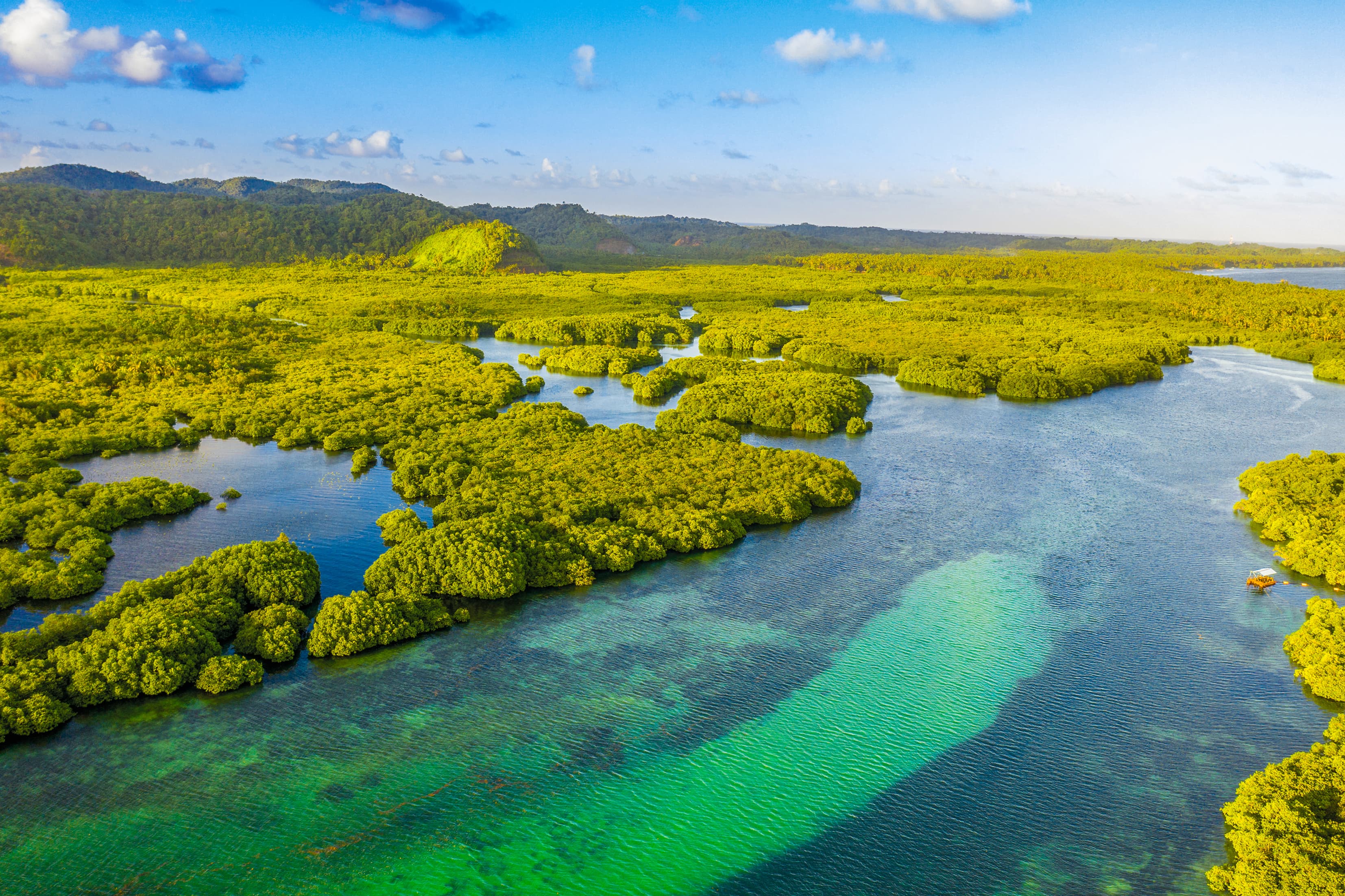 Along the Amazon and the Rio Negro, An Exclusive Cruise through Pristine and Hidden Nature (port-to-port cruise)