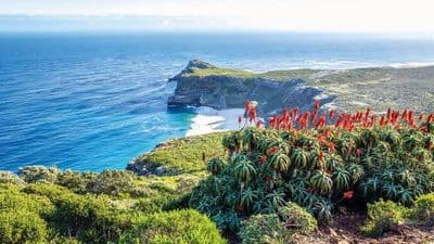 Southern Africa aboard the Zimbabwean Dream: travel to the ends of the earth with extended stay at the Cape Peninsula (port-to-port cruise)