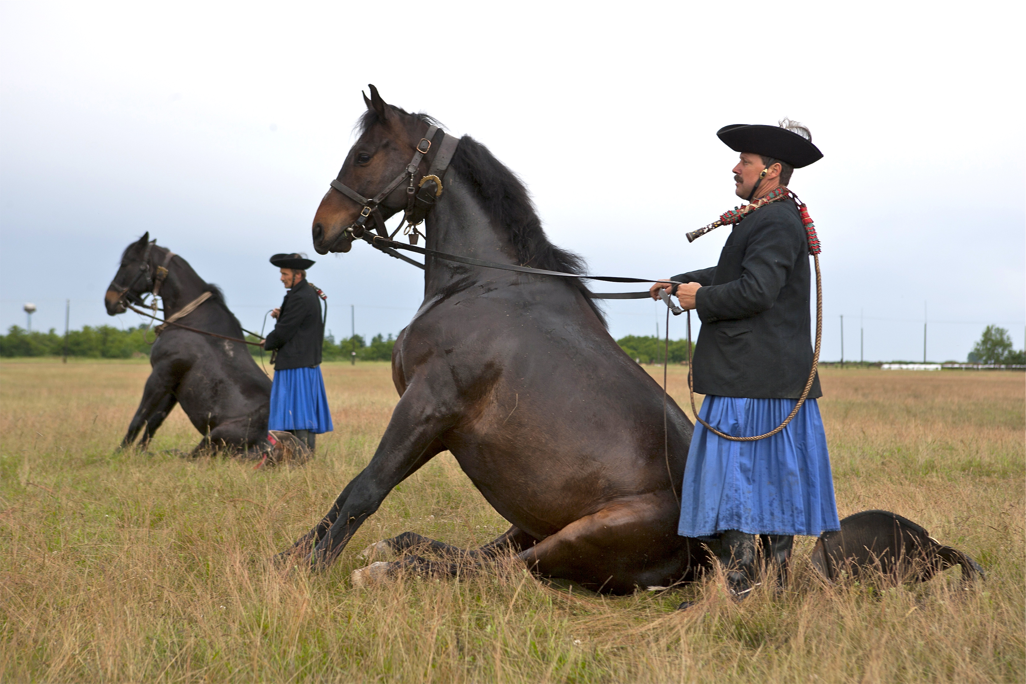 From the Danube to the Tisza, through the Real Hungary (port-to-port cruise)