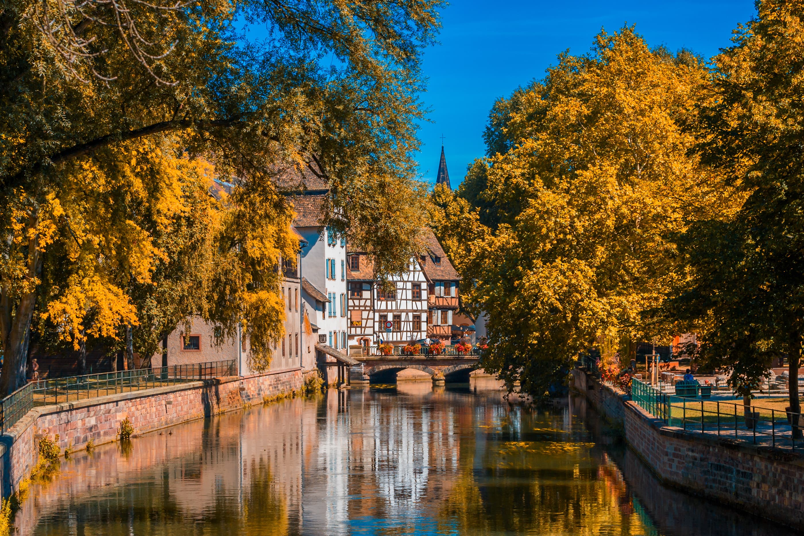 Autumn Splendor on the Rhine: Cruise & Hikes through the Rhineland (port-to-port cruise)
