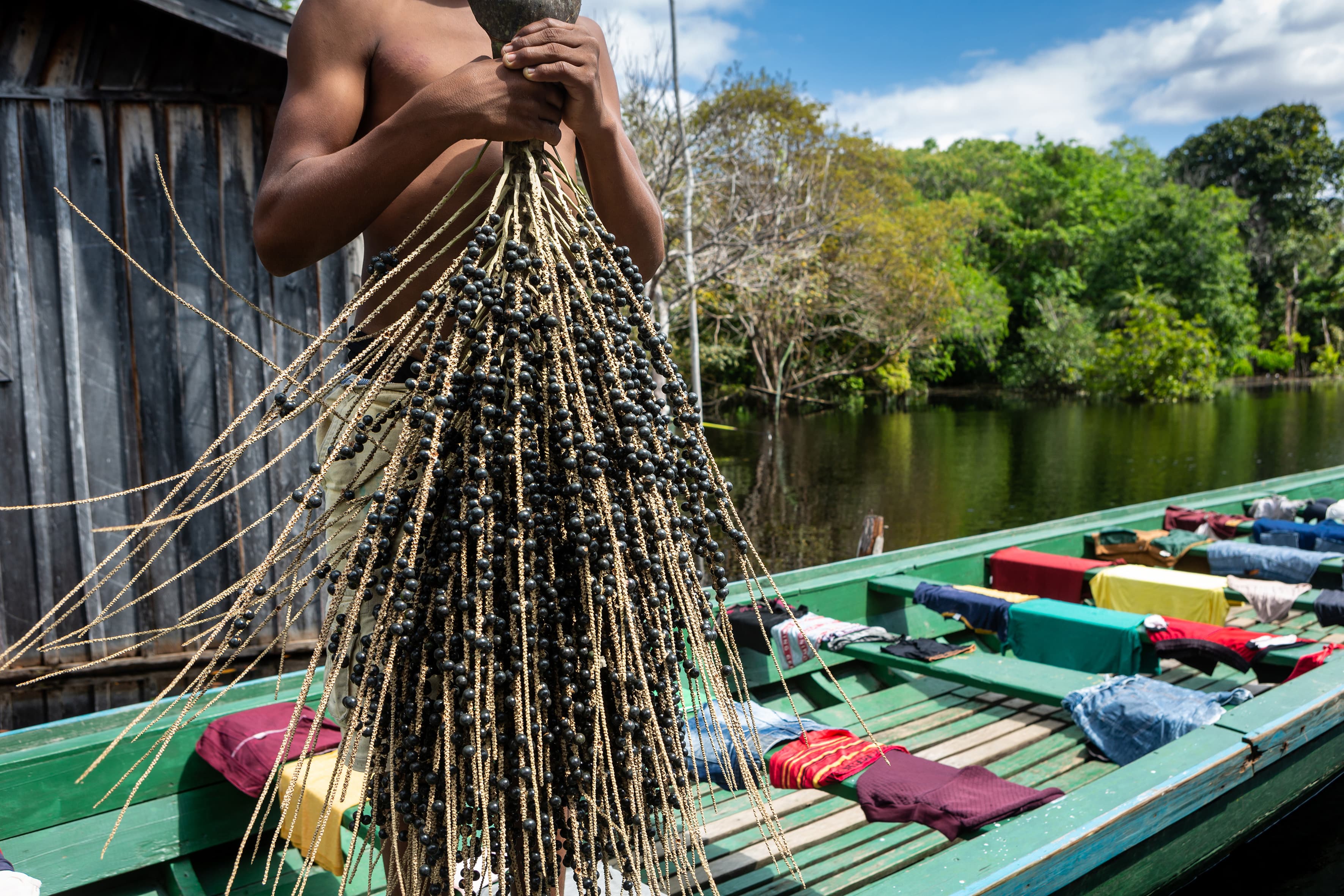 Cruise in the Heart of the Original Amazon - An exploration deep into the jungle, between Brazil and Colombia (port-to-port cruise)
